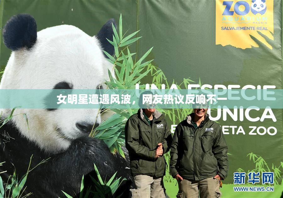 女明星遭遇风波，网友热议反响不一