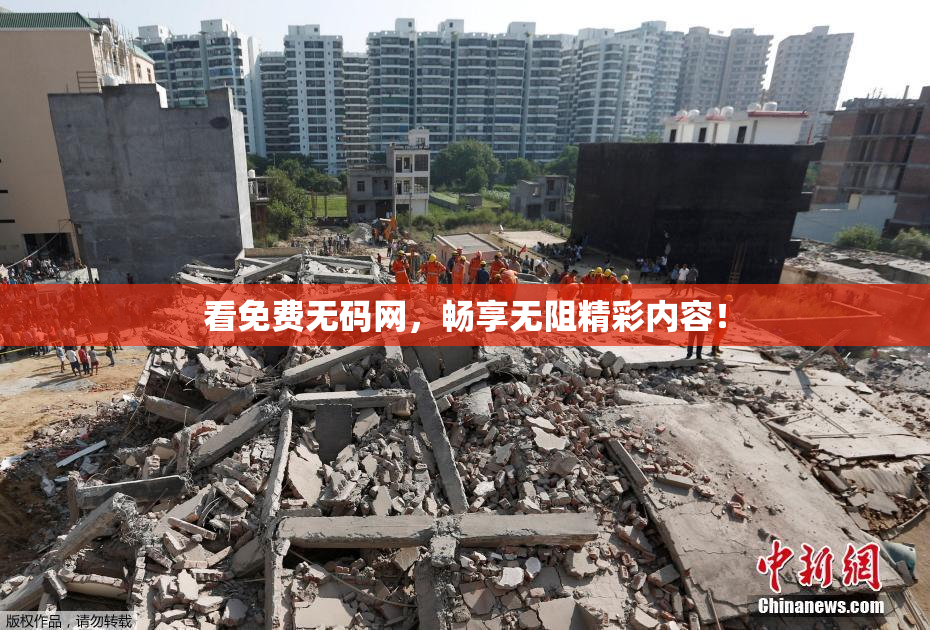 看免费无码网，畅享无阻精彩内容！