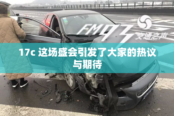 17c 这场盛会引发了大家的热议与期待