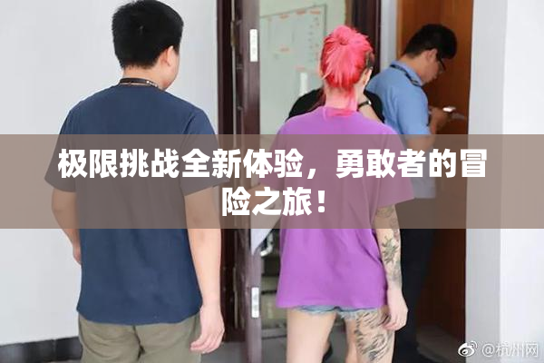 极限挑战全新体验，勇敢者的冒险之旅！