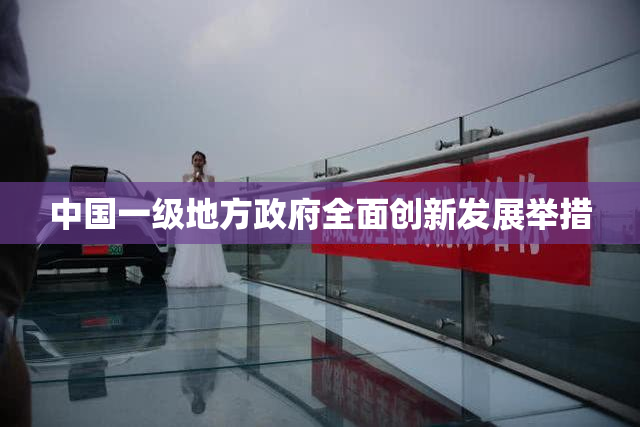 中国一级地方政府全面创新发展举措