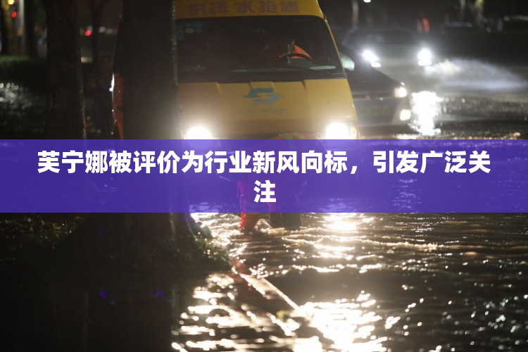 芙宁娜被评价为行业新风向标，引发广泛关注
