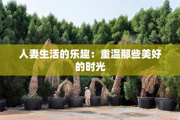 人妻生活的乐趣：重温那些美好的时光
