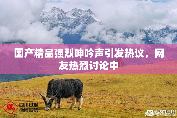 国产精品强烈呻吟声引发热议，网友热烈讨论中