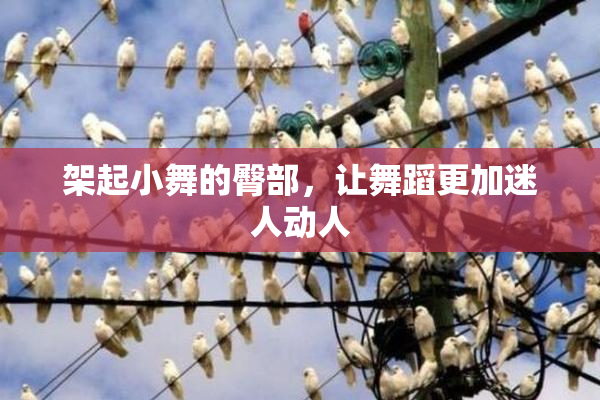 架起小舞的臀部，让舞蹈更加迷人动人