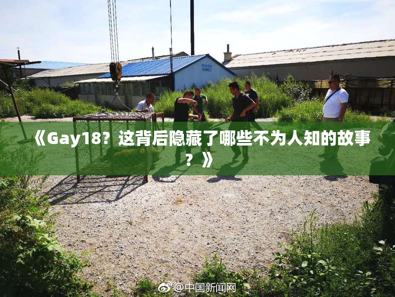 《Gay18？这背后隐藏了哪些不为人知的故事？》