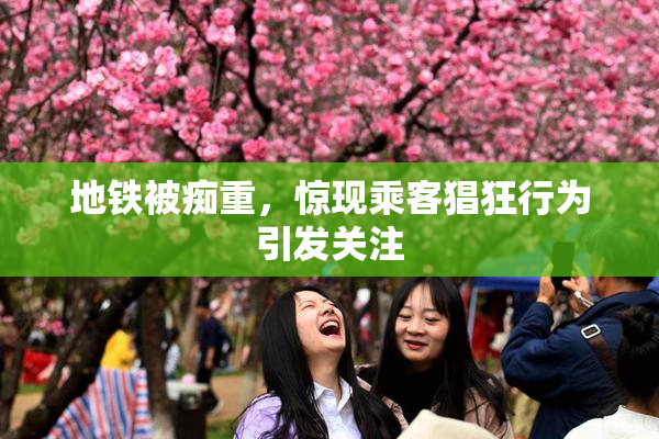 地铁被痴重，惊现乘客猖狂行为引发关注