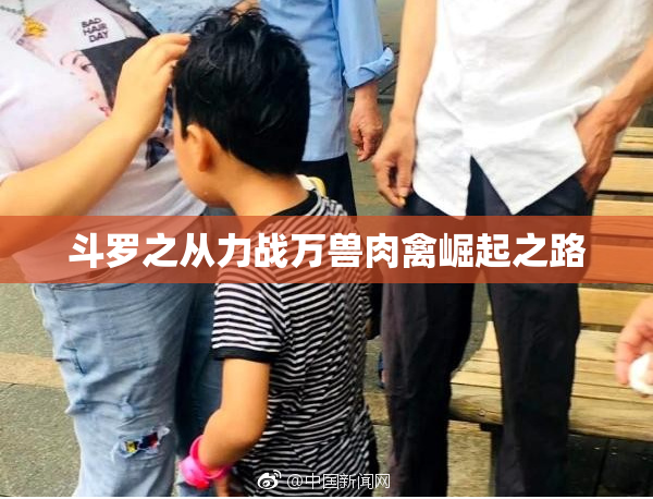 斗罗之从力战万兽肉禽崛起之路