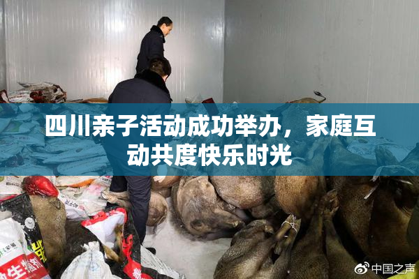 四川亲子活动成功举办，家庭互动共度快乐时光