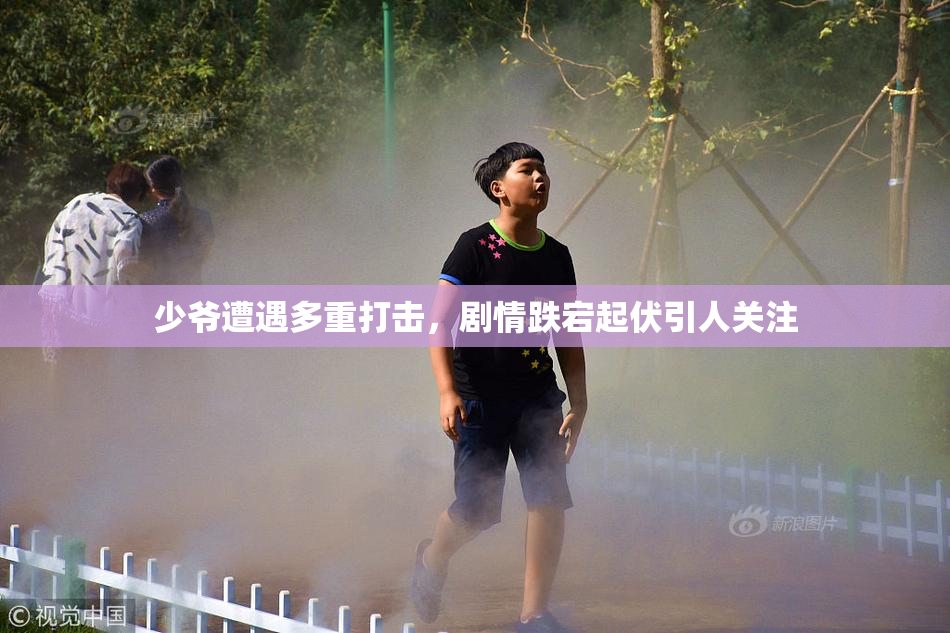 少爷遭遇多重打击，剧情跌宕起伏引人关注