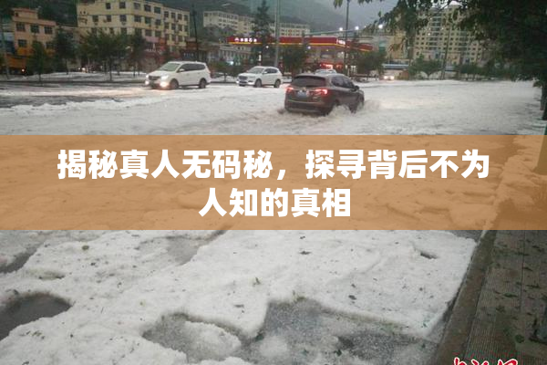 揭秘真人无码秘，探寻背后不为人知的真相