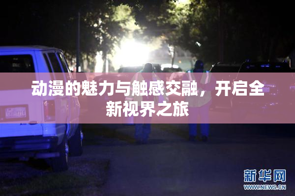 动漫的魅力与触感交融，开启全新视界之旅