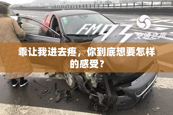 乖让我进去疼，你到底想要怎样的感受？