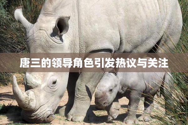 唐三的领导角色引发热议与关注