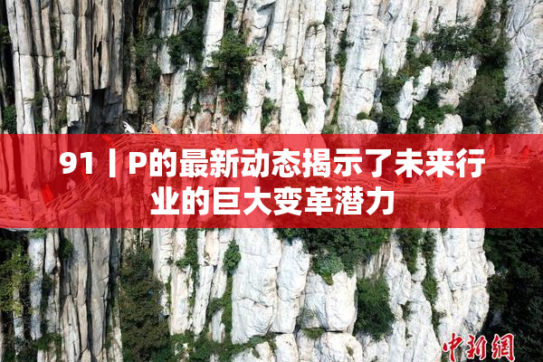 91丨P的最新动态揭示了未来行业的巨大变革潜力