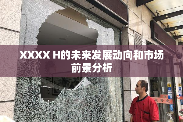 XXXX H的未来发展动向和市场前景分析