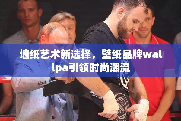 墙纸艺术新选择，壁纸品牌wallpa引领时尚潮流