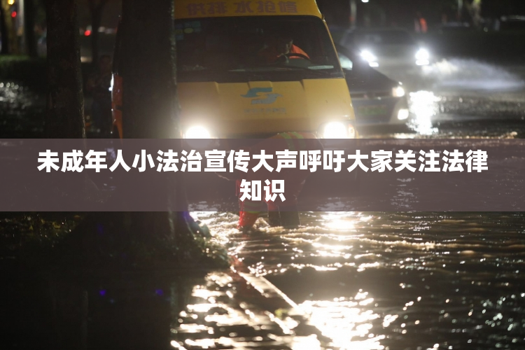 未成年人小法治宣传大声呼吁大家关注法律知识