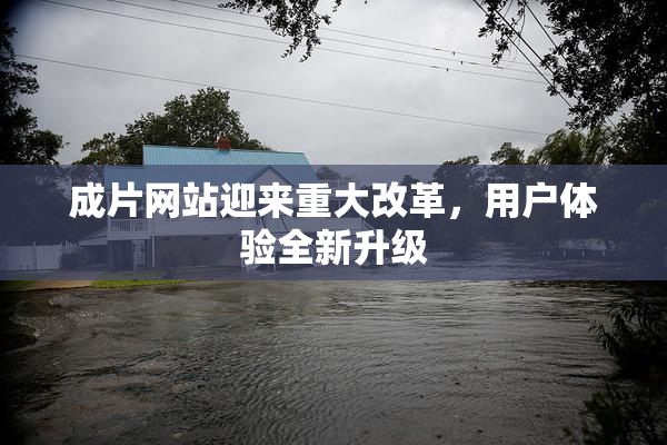 成片网站迎来重大改革，用户体验全新升级