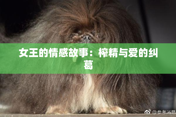 女王的情感故事：榨精与爱的纠葛