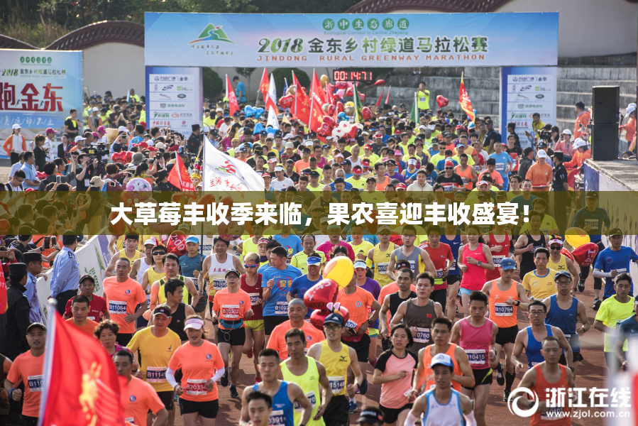 大草莓丰收季来临，果农喜迎丰收盛宴！