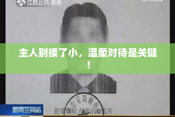 主人别揉了小，温柔对待是关键！