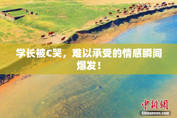 学长被C哭，难以承受的情感瞬间爆发！