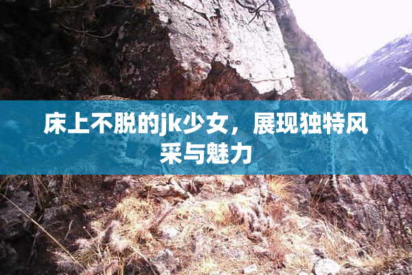 床上不脱的jk少女，展现独特风采与魅力
