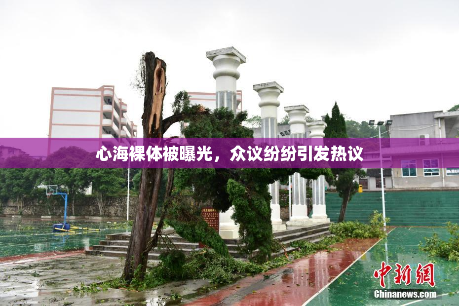 心海裸体被曝光，众议纷纷引发热议