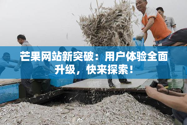 芒果网站新突破：用户体验全面升级，快来探索！