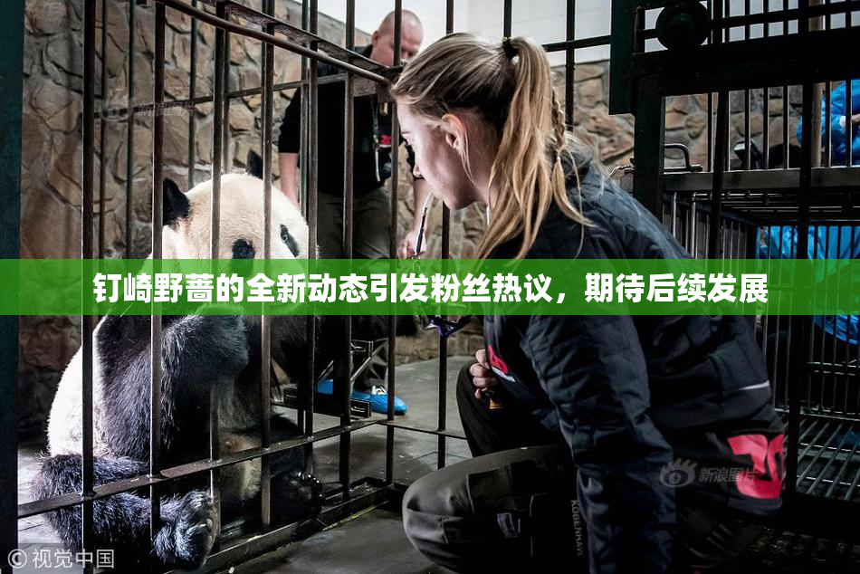 钉崎野蔷的全新动态引发粉丝热议，期待后续发展