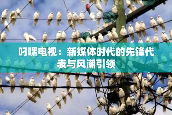 叼嘿电视：新媒体时代的先锋代表与风潮引领
