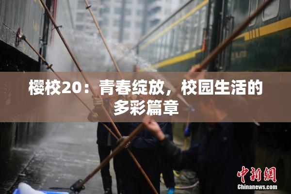 樱校20：青春绽放，校园生活的多彩篇章