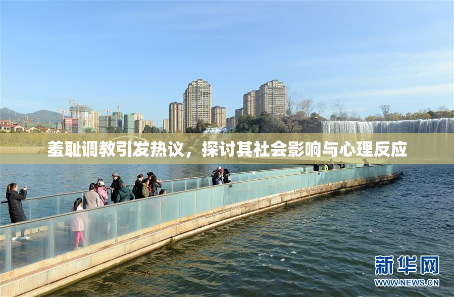 羞耻调教引发热议，探讨其社会影响与心理反应