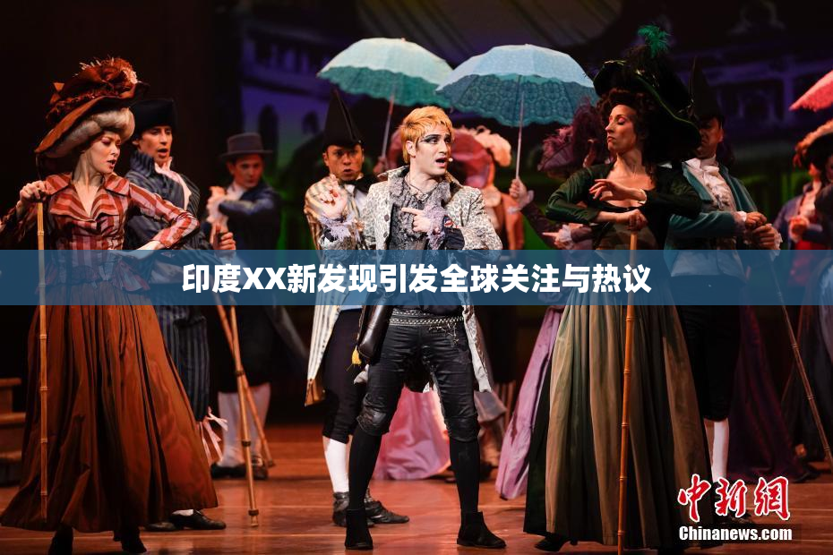 印度XX新发现引发全球关注与热议