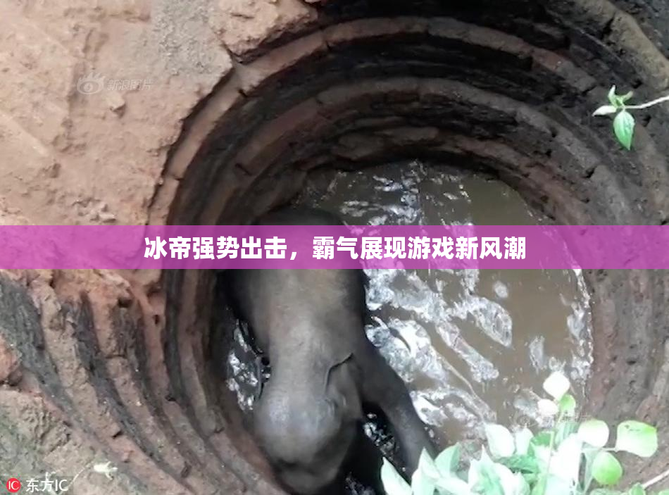 冰帝强势出击，霸气展现游戏新风潮