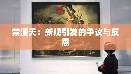 禁漫天：新规引发的争议与反思