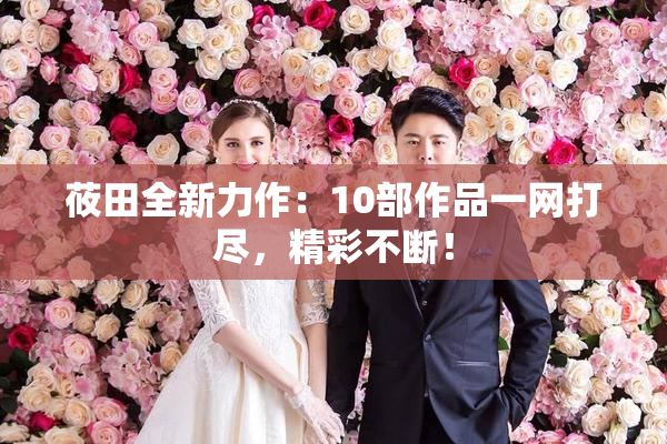 莜田全新力作：10部作品一网打尽，精彩不断！
