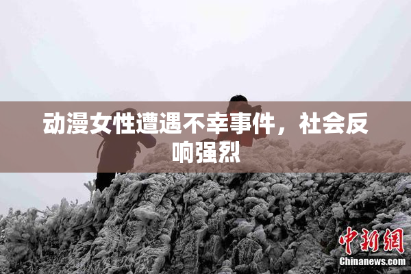 动漫女性遭遇不幸事件，社会反响强烈