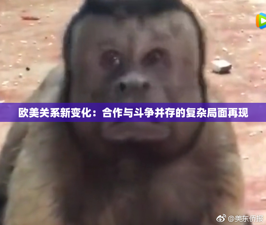 欧美关系新变化：合作与斗争并存的复杂局面再现