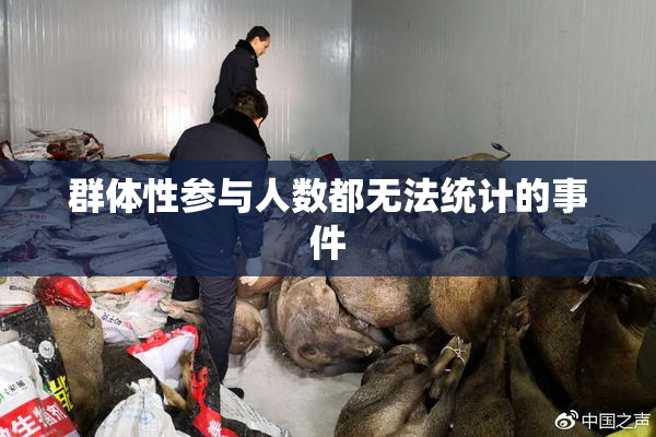 群体性参与人数都无法统计的事件