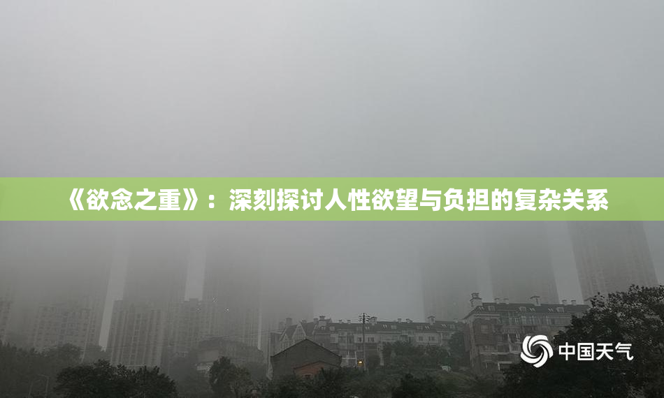 《欲念之重》：深刻探讨人性欲望与负担的复杂关系