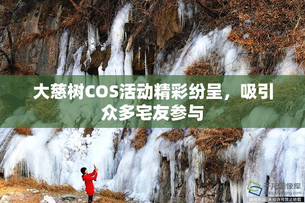 大慈树COS活动精彩纷呈，吸引众多宅友参与