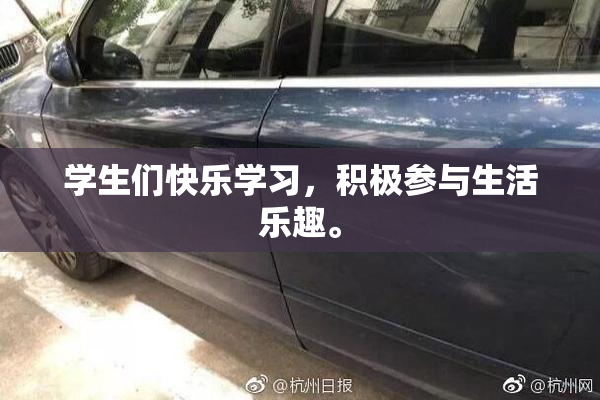 学生们快乐学习，积极参与生活乐趣。
