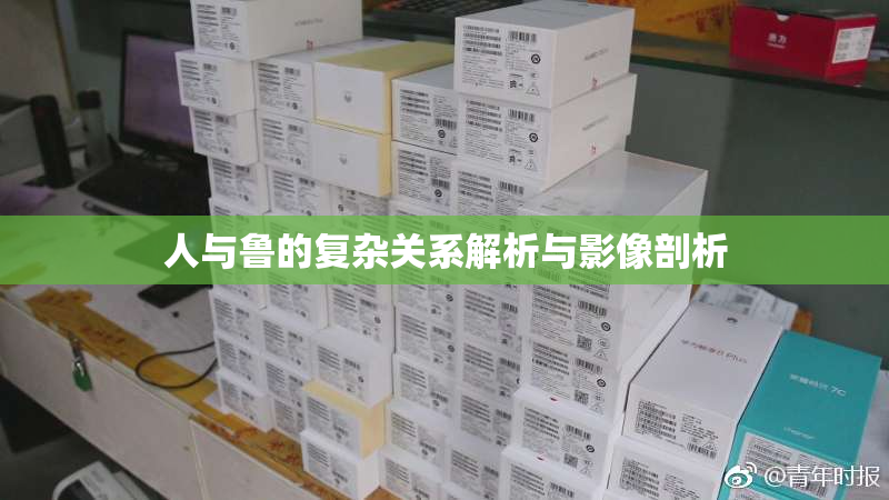 人与鲁的复杂关系解析与影像剖析