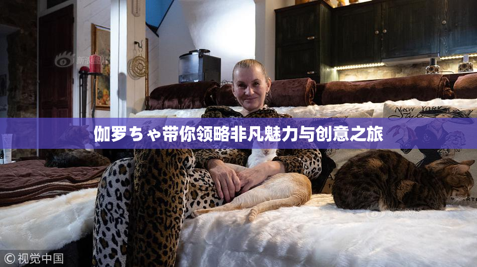 伽罗ちゃ带你领略非凡魅力与创意之旅