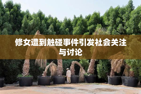 修女遭到触碰事件引发社会关注与讨论