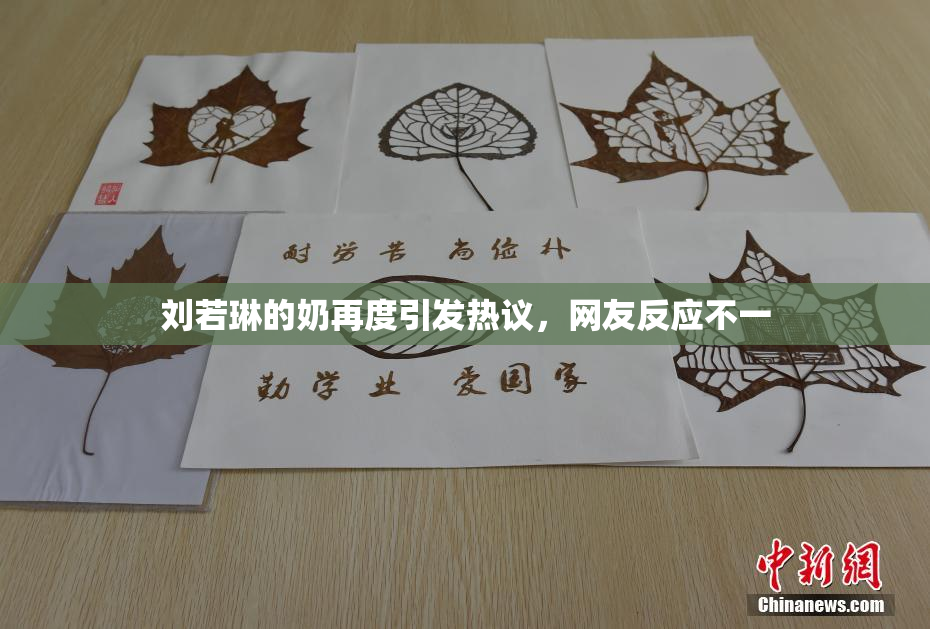 刘若琳的奶再度引发热议，网友反应不一
