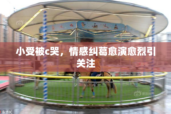 小受被c哭，情感纠葛愈演愈烈引关注