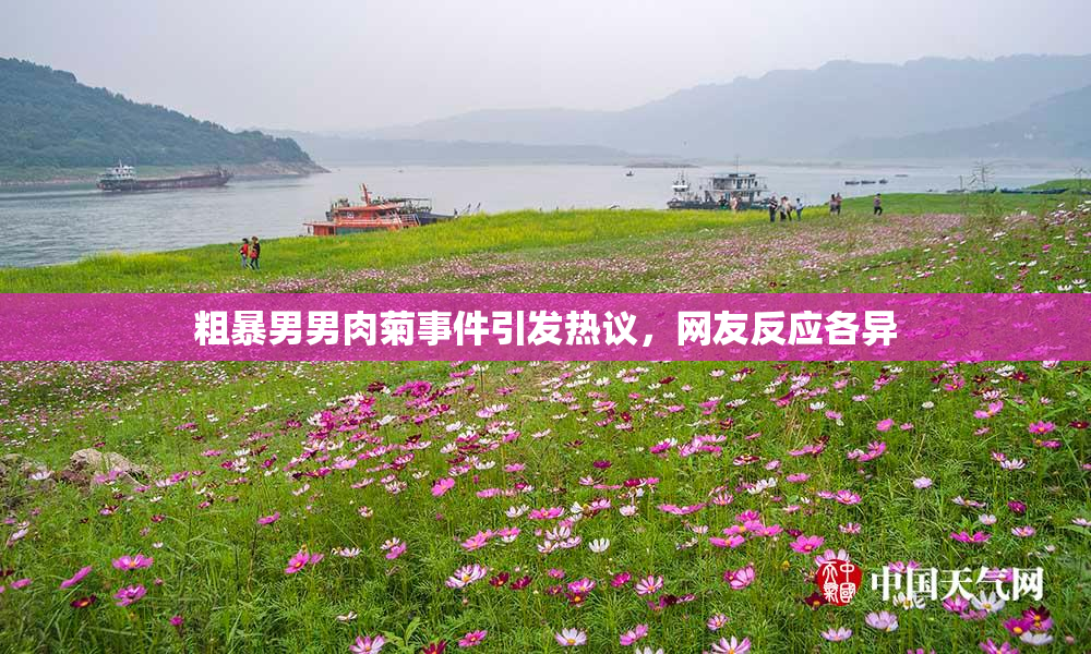 粗暴男男肉菊事件引发热议，网友反应各异